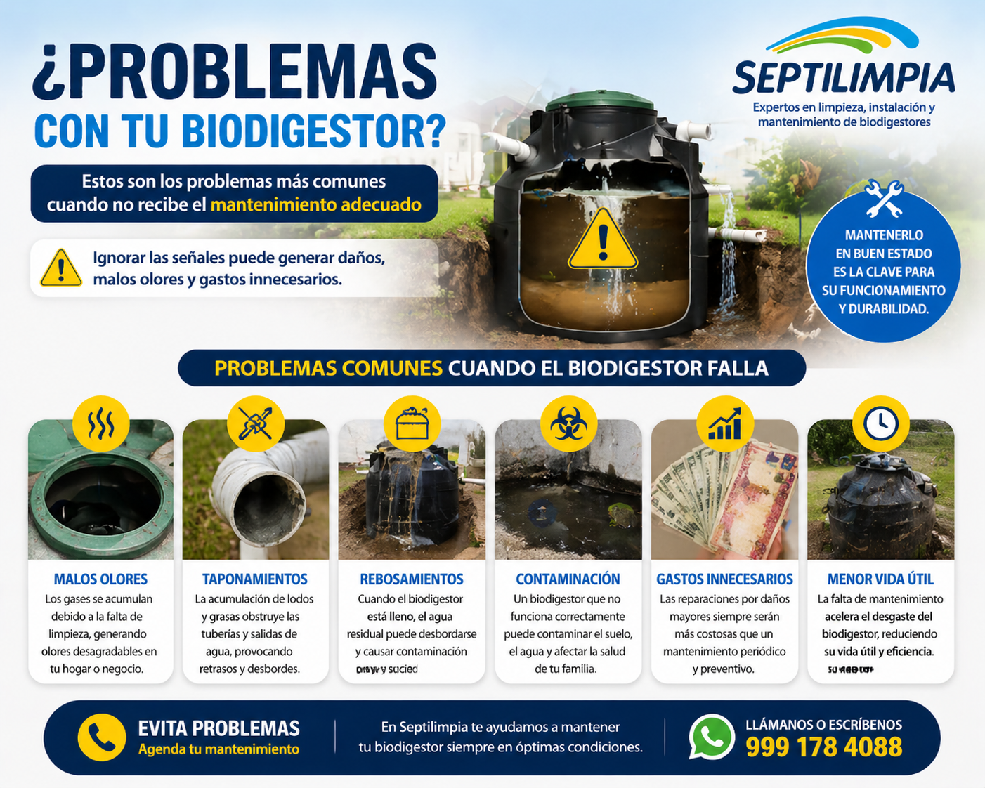 problemas de biodigestor