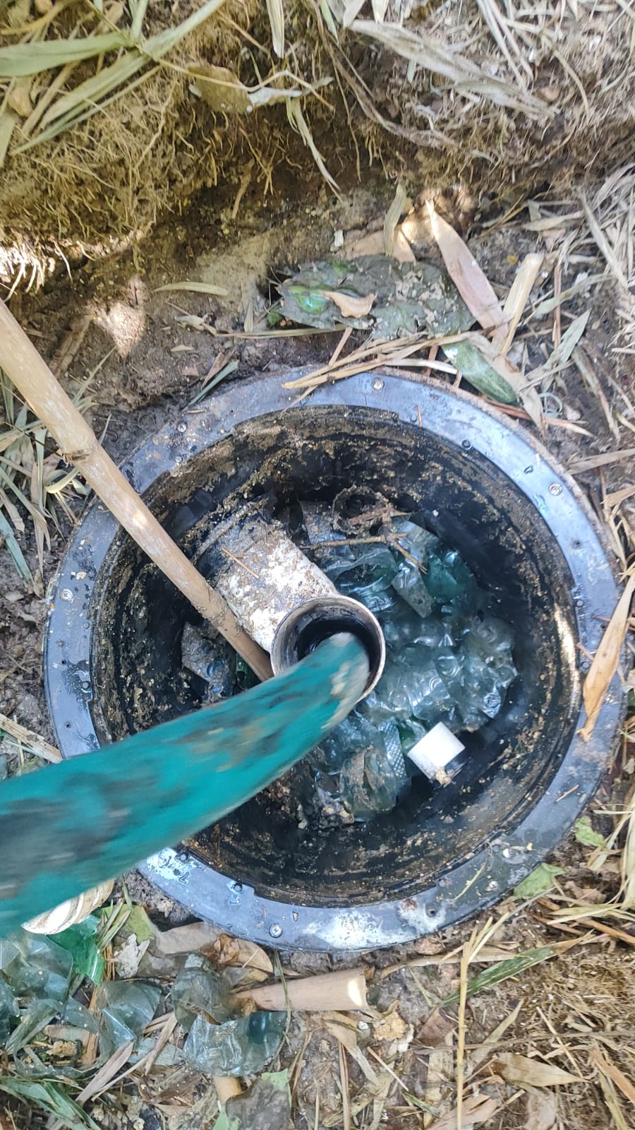 WhatsApp Image 2026-04-21 at 6.06.53 PM (1)