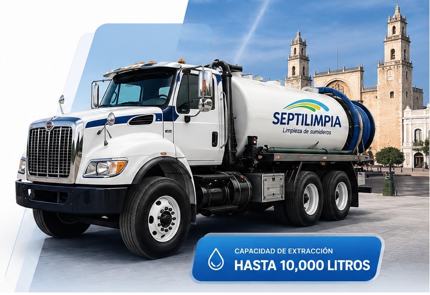 Servicio profesional Septilimpia